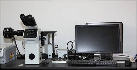 电感耦合等离子体发射光谱仪检测服务-钱眼产品